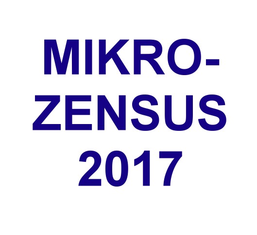 Mikrozensus 2017 im Januar gestartet